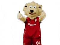 Bayer 04 Yes GIF by Bayer 04 Leverkusen