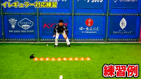 9log giphygifmaker GIF