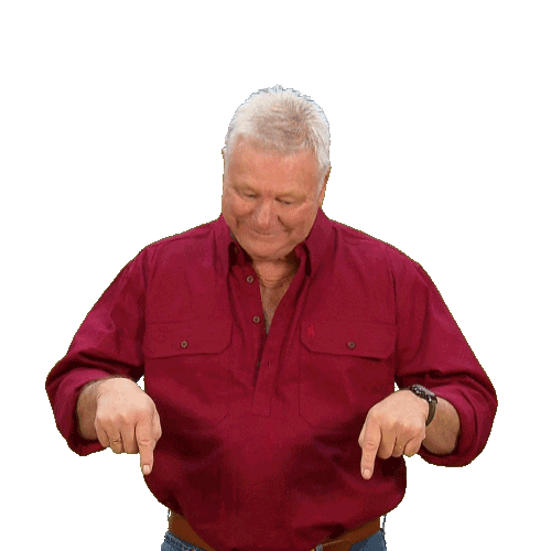 Renovate Channel 9 Sticker by The Block