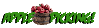Apple Pie Apples Sticker