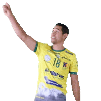 Touch Referee Sticker by Aluron CMC Warta Zawiercie