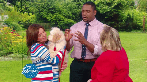 dog rachel GIF by Rachael Ray Show