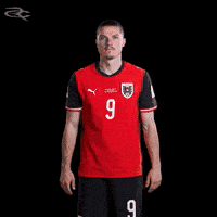 Fifa World Cup Austria GIF by Respective
