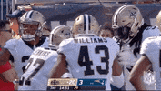 New Orleans Saints Football GIF by NFL