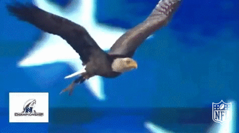 philadelphia eagles football GIF by NFL