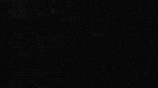 Con Mucho Acento GIF by Cruzcampo