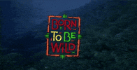 born to be wild GIF by Warner Archive