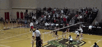 Ncaa GIF by Brown Volleyball