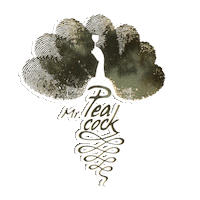 mrpeacockbar bar mr peacock mrpeacock Sticker