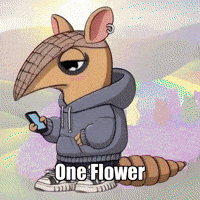 GIF by Chillo Dillo
