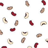 Bean Raining Sticker