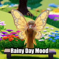 Buddhaflycharacter GIF by BuddhaFlyJourney
