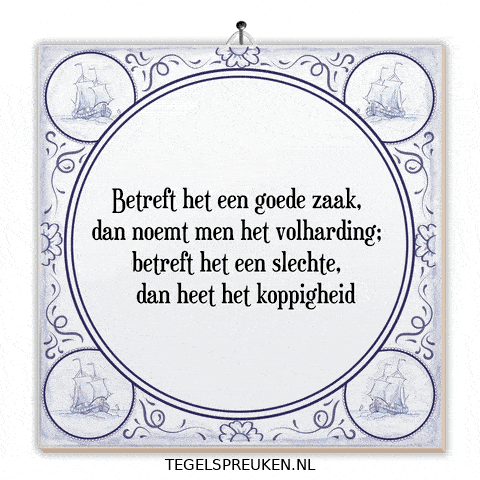 Humor Reflectie GIF by Tegelspreuken.nl