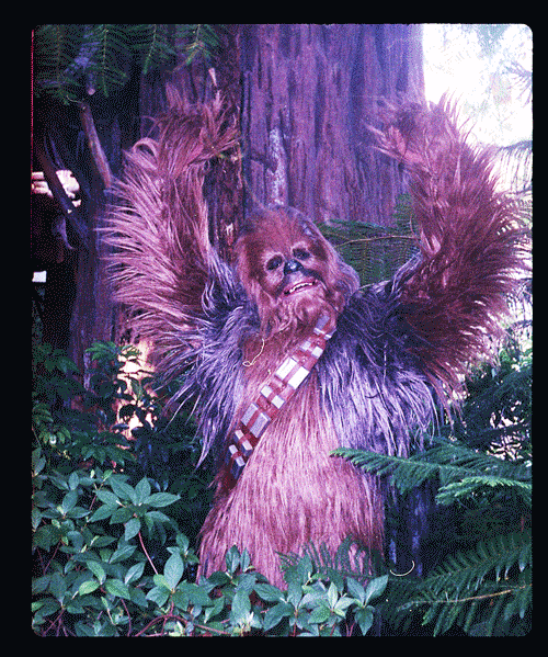 Chewbacca