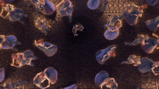 dance no GIF by SVA Computer Art, Computer Animation and Visual Effects