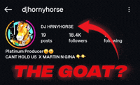 Dj Horse GIF
