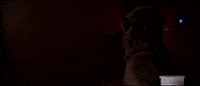 Cantina Anewhope GIF