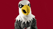 uwlacrosse thumbs up stryker uwl uwlax GIF