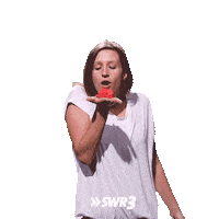 Heart Love Sticker by SWR3