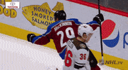 happy ice hockey GIF by NHL
