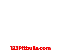 Red Nose Pitbull Sticker by 123 Pit Bulls