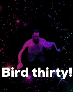 Birdbong GIF by Bleu Eyed View