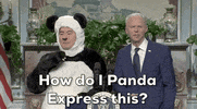 Snl GIF by Saturday Night Live