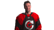 Sport Hockey Sticker by Cincinnati Cyclones