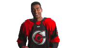 Hockey Echl Sticker by Cincinnati Cyclones