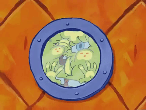 season 3 missing identity GIF by SpongeBob SquarePants