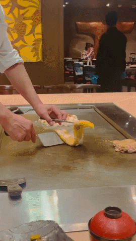olivelin giphygifmaker GIF