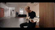 Seoul Purenoise GIF by Pure Noise Records