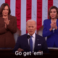 Lets Go Good Job GIF by The Democrats