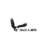 GianlucaGrignani falco gianluca grignani grignani grigna Sticker