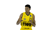 Ewe Baskets Basketball Sticker by EWE Baskets Oldenburg