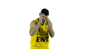 Ewe Baskets Basketball Sticker by EWE Baskets Oldenburg