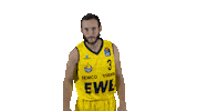 Ewe Baskets Basketball Sticker by EWE Baskets Oldenburg