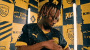 Celebration Hype GIF by New Mexico United