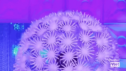 season 10 episode 6 GIF by RuPaul's Drag Race