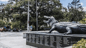 football clouds GIF by University of Florida