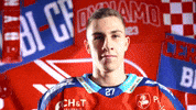 Robin Kaplan GIF by HC Dynamo Pardubice