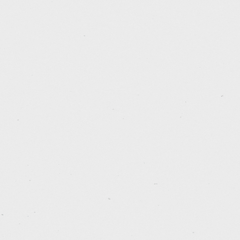 smartfishacademy giphyupload GIF