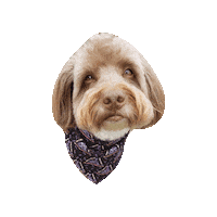 Sticks And Stones Sticker by Geekster Pets