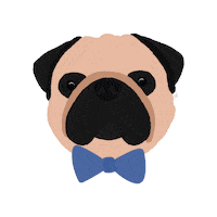 Dog Pug Sticker
