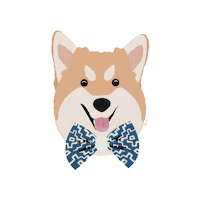 Dog Pet Sticker