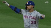 Michael Conforto Celebration GIF by SNY