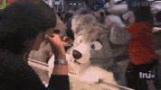 furry GIF