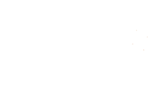 Happy New Year Ar Sticker by Nora Fikse