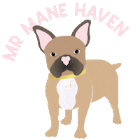 Mane Sticker by ManeHaven