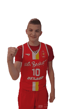 Desado varna starbasketvarna redsharks letsgovarna Sticker